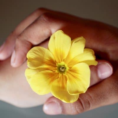 Kommunikation, Vertrauen, Blumengeschenk