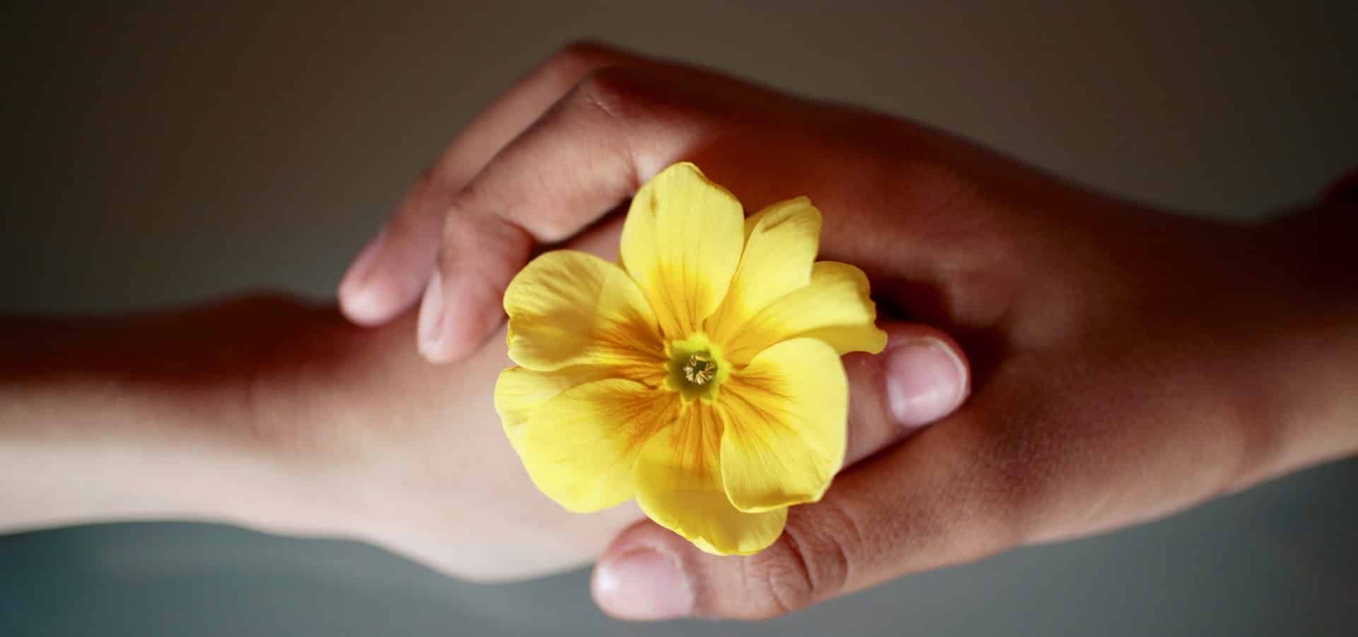 Kommunikation, Vertrauen, Blumengeschenk
