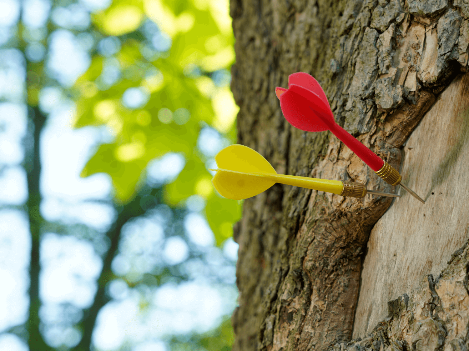 was-coaching-kann Ziel Pfeile Systemisches Coaching