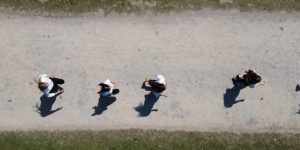 Vom Mitarbeiter zur Führungskraft, Rollenwechsel, Reihe