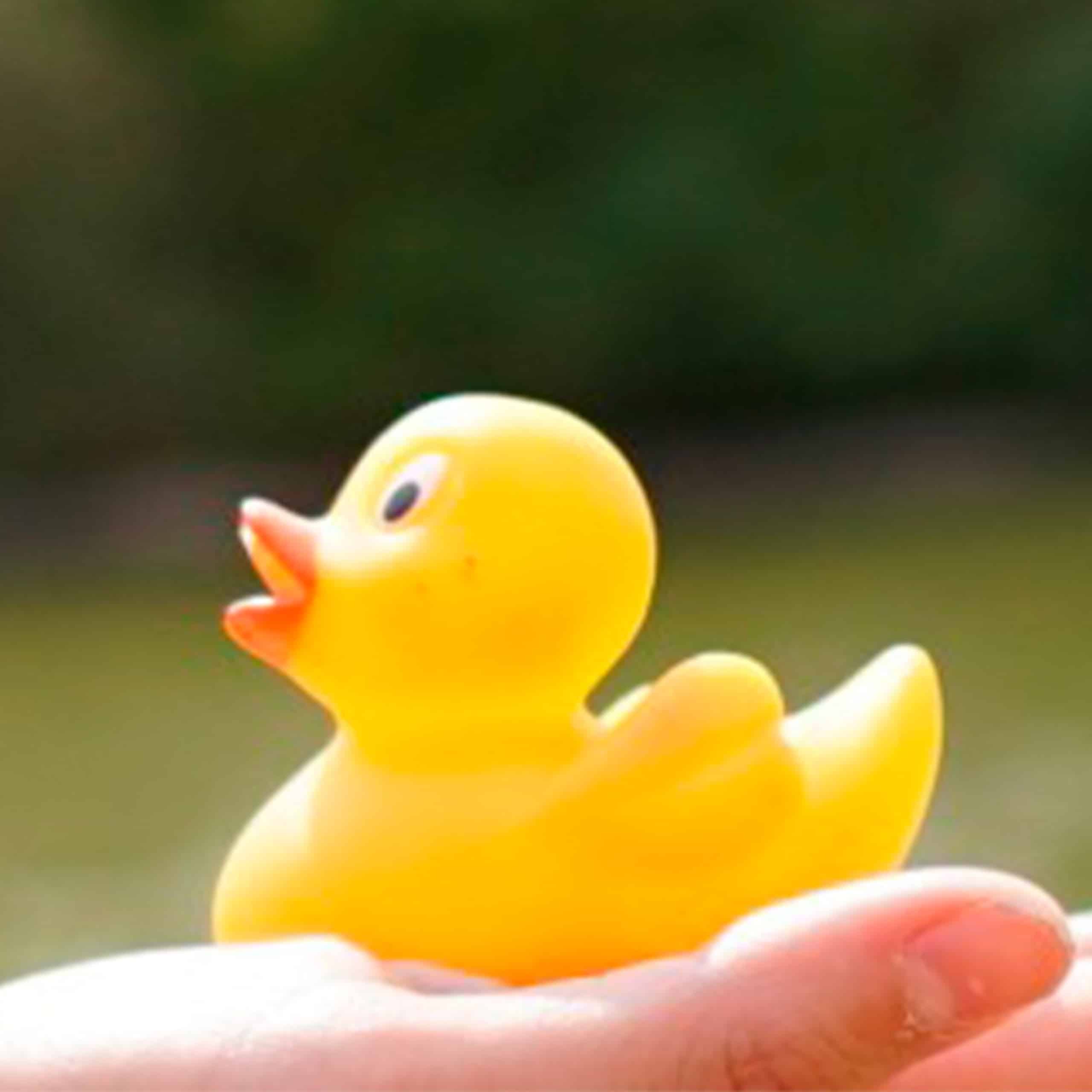 ente