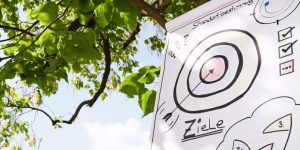 Kundenbedürfnisse, Service Excellence, Zielscheibe