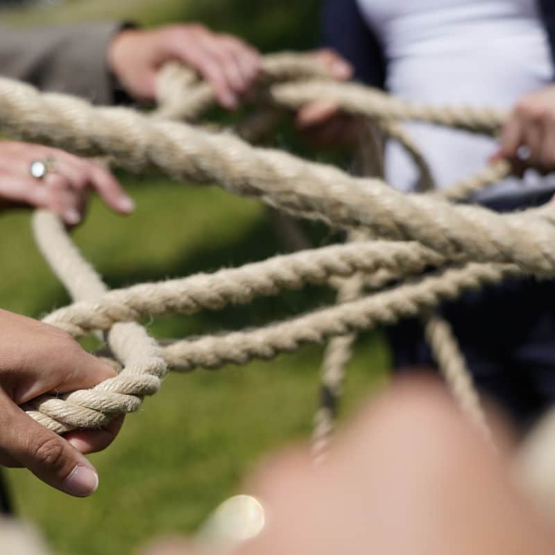 Systemisches Coaching, Einzelcoaching, System