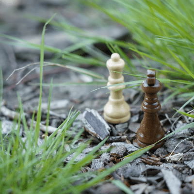 mediation-konfliktmanagement_was-ist-mediation_vereinbarungen Mediation & Konfliktmanagement, Was ist Mediation, Schachfiguren treffen Vereinbarung