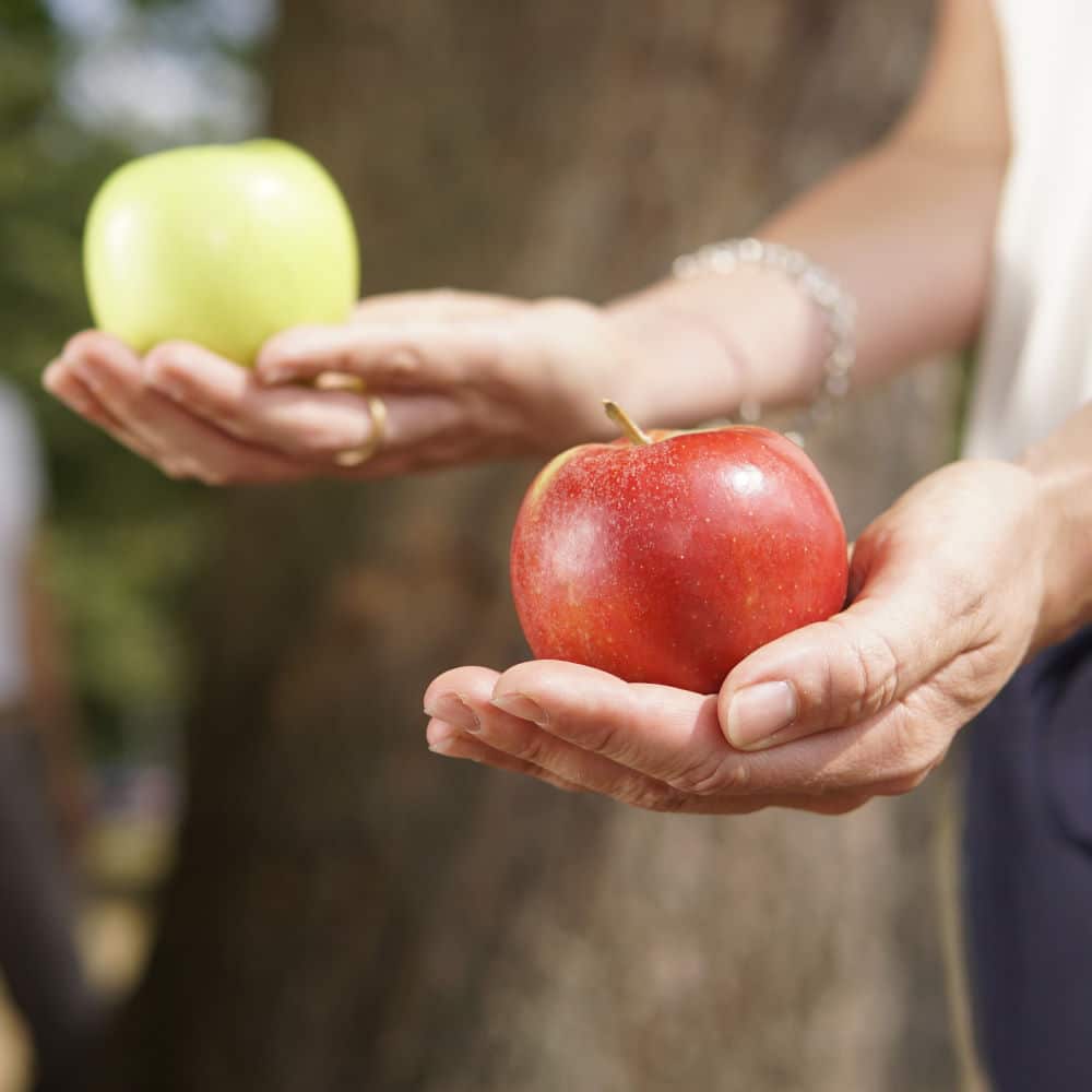 fuehrungskraefteentwicklung-coaching_fuehrungskraefte-coaching_feedbackkultur Führungskräfteentwicklung Coaching, Führungskräfte Coaching, Grüner und roter Apfel werden in den Händen gehalten