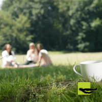 Kommunikation im Unternehmen verbessern, Regelkommunikation im Unternehmen, Workshops und Seminare