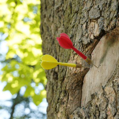 Gesund Arbeiten, Zeit- und Selbstmanagement, roter und gelber Pfeil treffen sich auf einem Punkt auf einem Baum