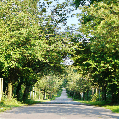 kulturentwicklung_unternehmenskultur_unternehmensleitbild-entwickeln Kulturentwicklung, Unternehmenskultur entwickeln, Weg Leitbild entwickeln