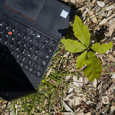 Neue Arbeitswelt, Virtuelle Teams, Wachstum und Entwicklung