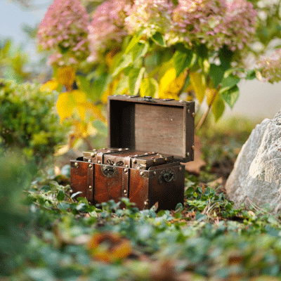 service-excellence_kundenbefragung_schatztruhe Service Excellence, Kundenbefragung, offene Schatztruhe für Kunden und deren Wissen